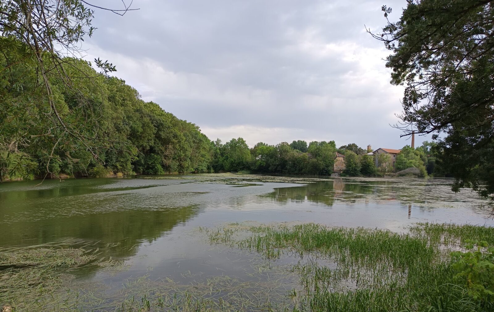 Etang de la filature
