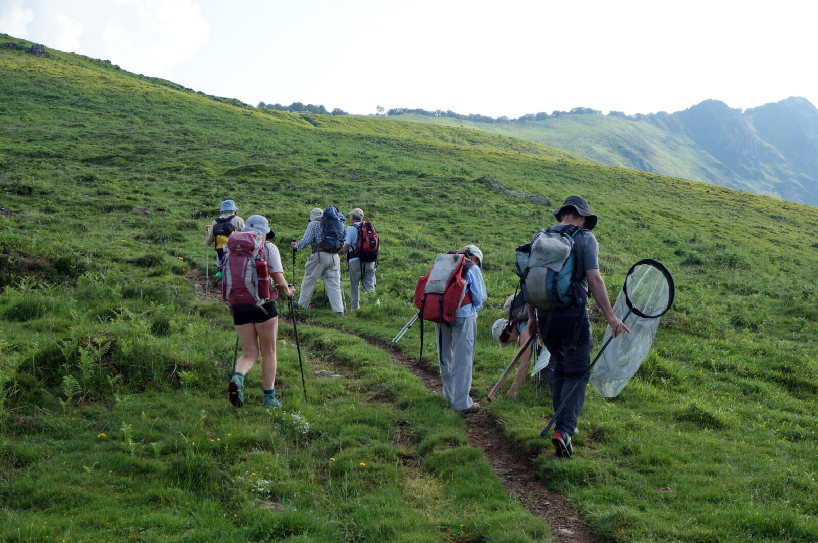 Sortie naturaliste lors d'un accompagnement d'un territoire 