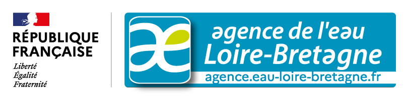 Logo RFIAE