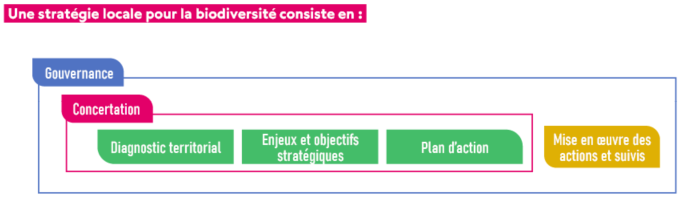 schéma du déroulé d'une stratégie locale pour la biodiversité