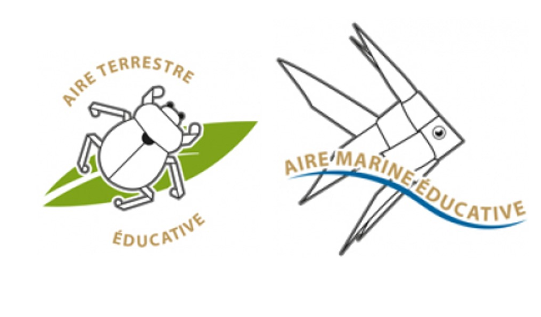Aires Educatives
